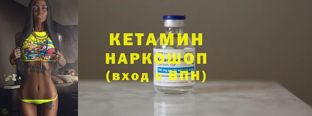 крисы Каменка
