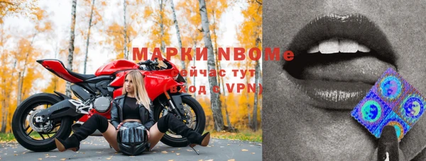 винт Бородино