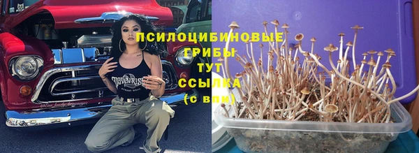 скорость Бронницы
