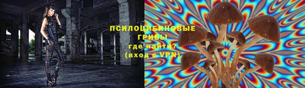 марки lsd Верея